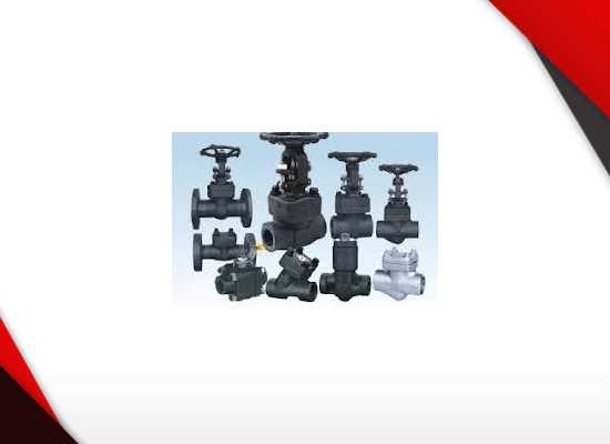 FORGET STEEL CHECK VALVE, GLOBE VALVE AND GATE VALVE CLASS 800 & 1500