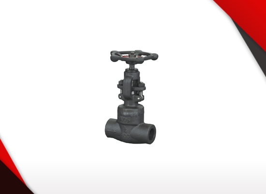 BONNET GLOBE VALVE ASTM A105N