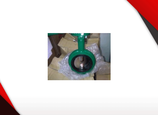 BUTTERFLY VALVE