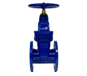 KSB Gate Valve ECOLINE GTR16P/160