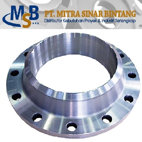 Flange WN Stainless Steel SS316L