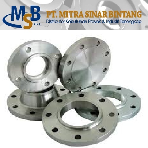 WN Flange Stainless Steel SS304L & 316L