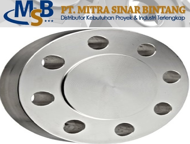 Blind Flange Class #300RF Stainless Steel SS316L