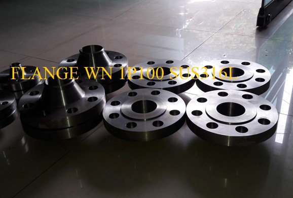 Flange WN PN100 Stainless Steel SUS316L