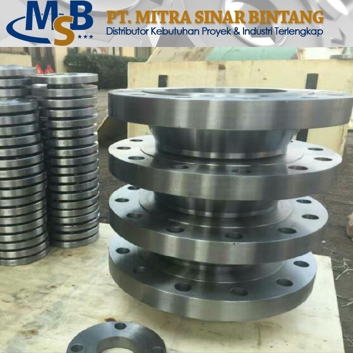 Flange WN Stainless Steel SS304L