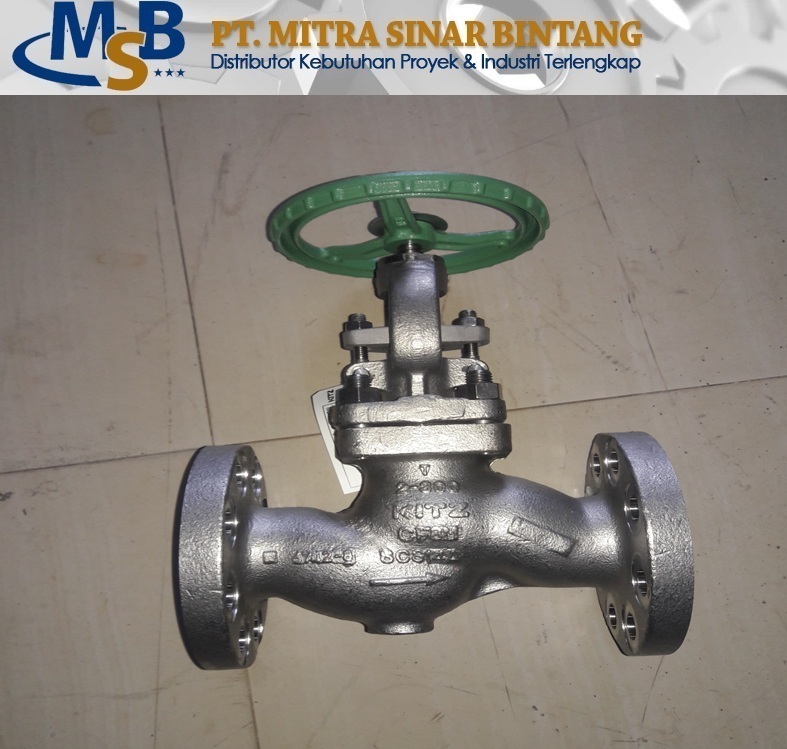 Globe Valve A351 CF8M