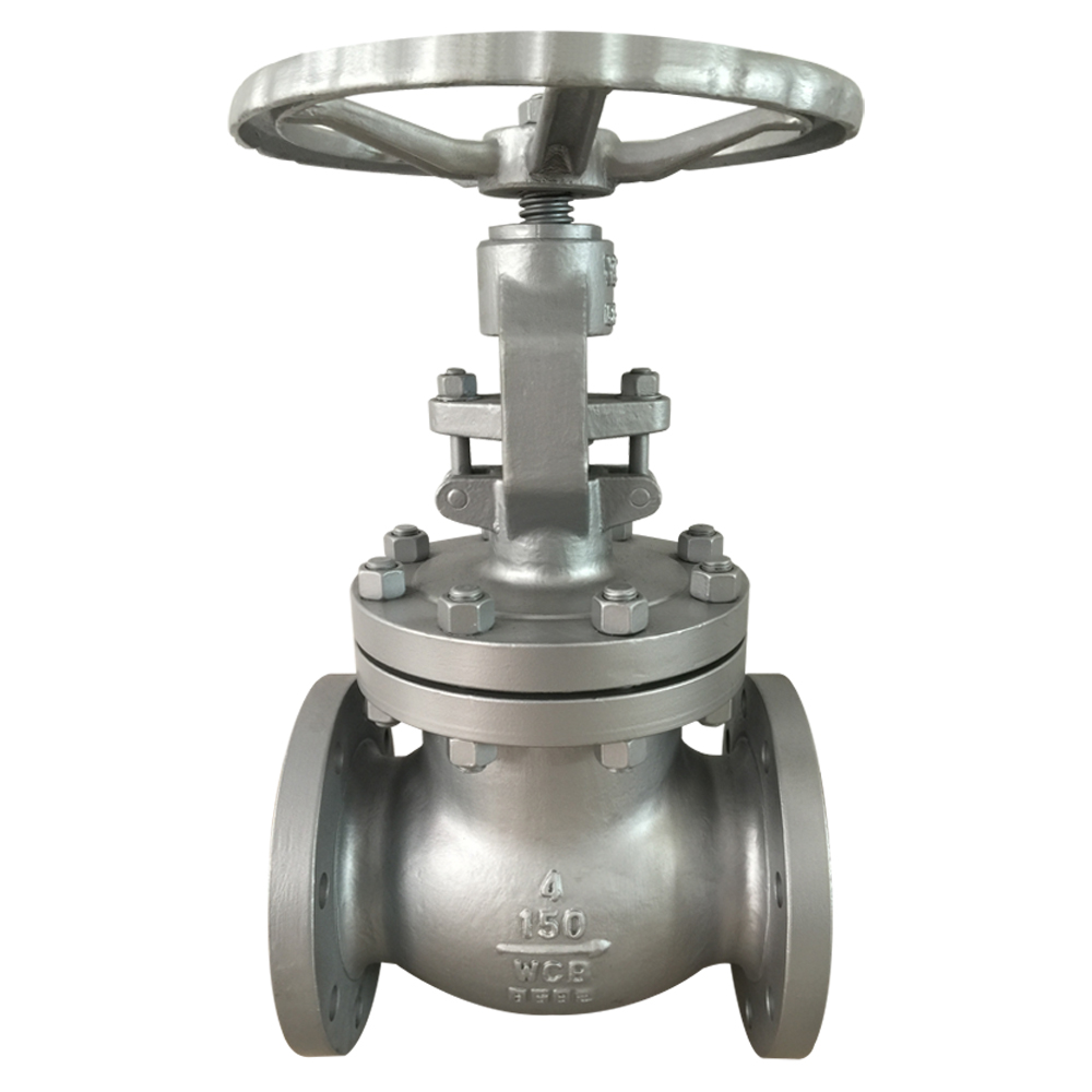 Globe Valve A351 CF8