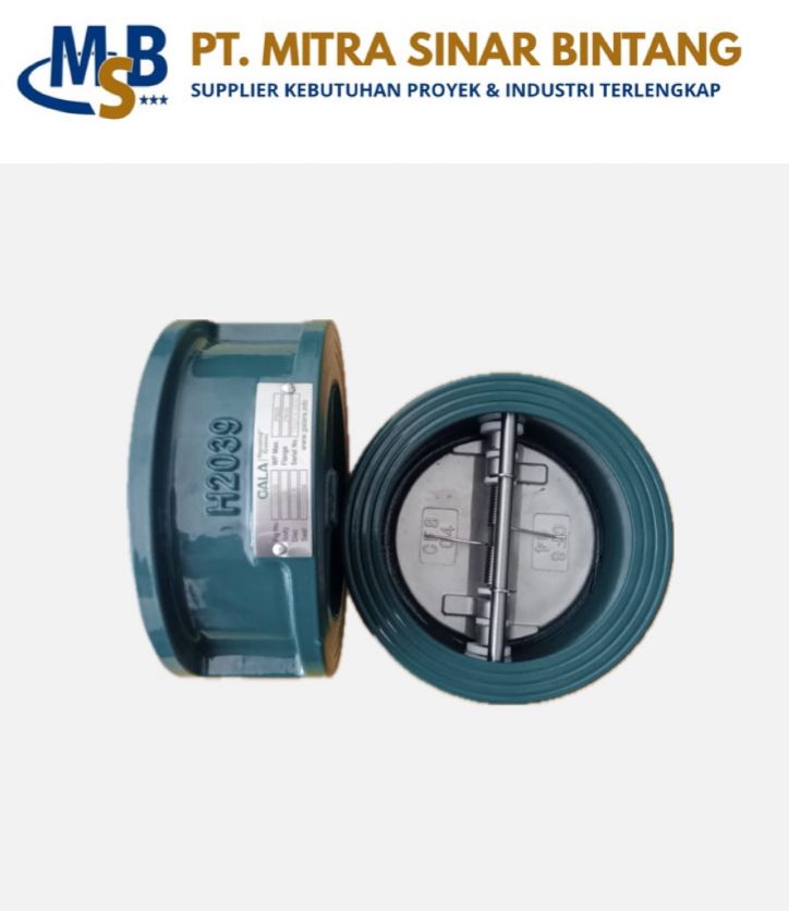 Ready Wafer check valve 4 inch JIS 10K cast iron body SS 304